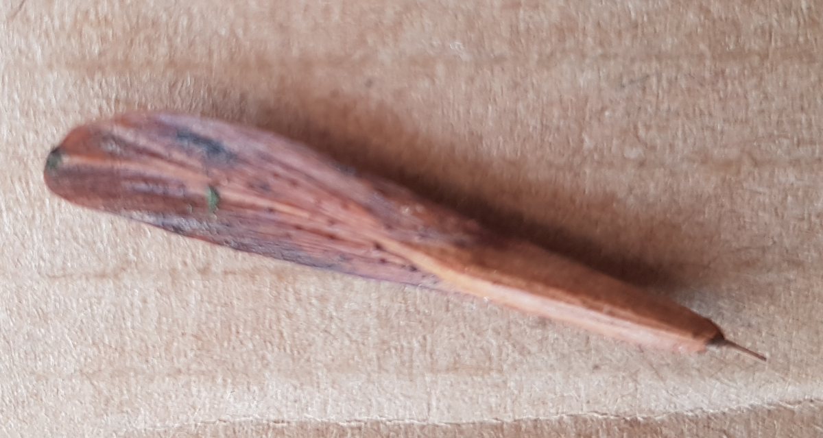 Le fruit perturbateur