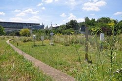 Le parc météo. Vue vers le sud